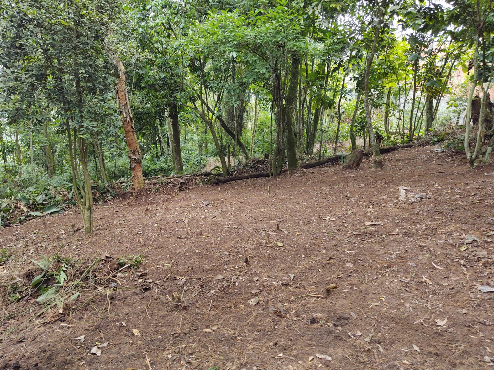 Vendo Terreno Plano no Jardim Clube de Campo em Santo André - Área Total 3300 m² - Ótima Localização. 